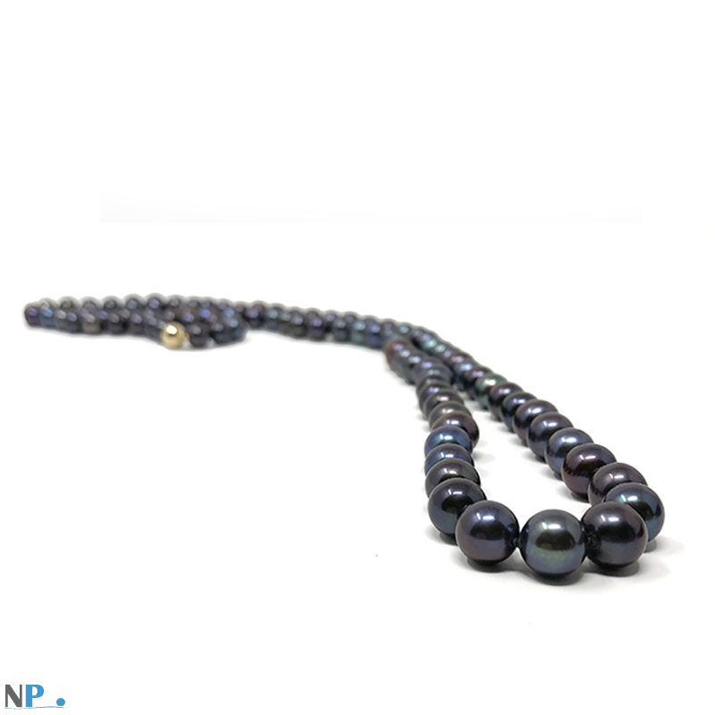 Collier de perles noires, perles de culture, perles d'eau douce. Qualité AA+ ou AAA avec fermoir en Or de sécurite